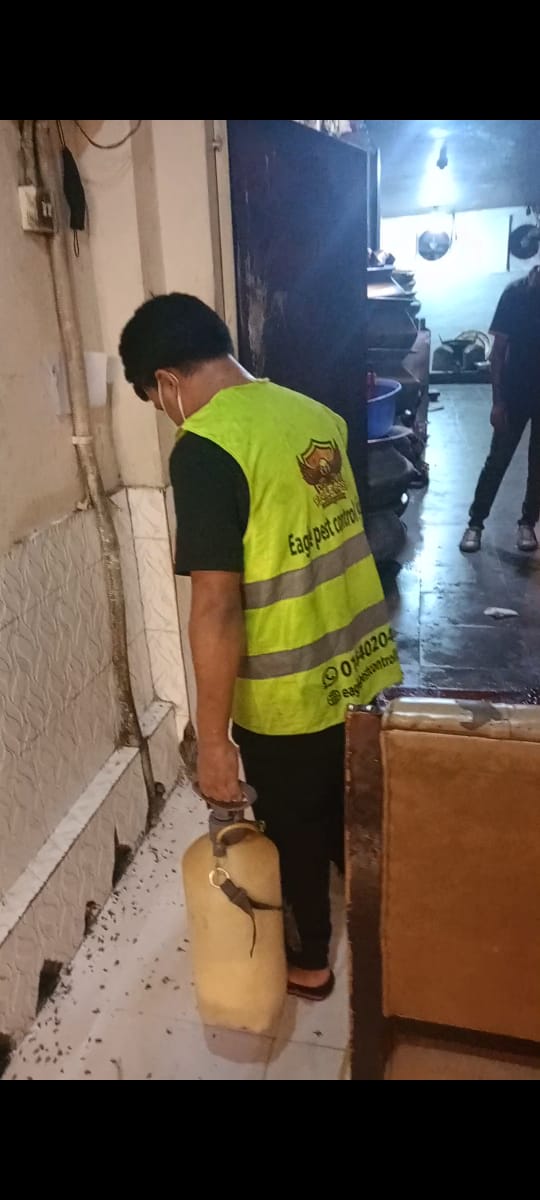 Service
